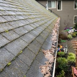 Gutter Cleaning Vancouver Wa